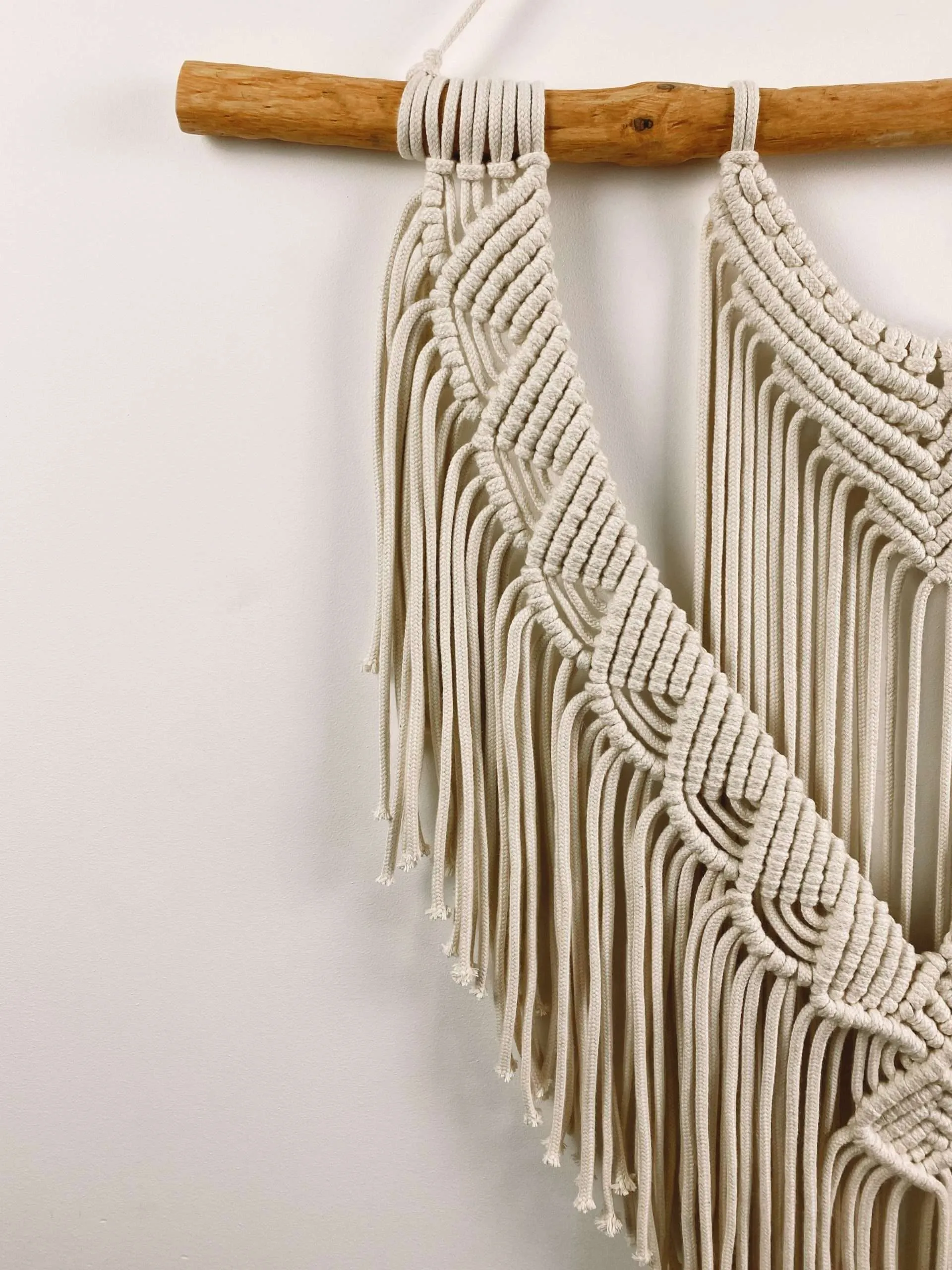 Wall Hanger Coral