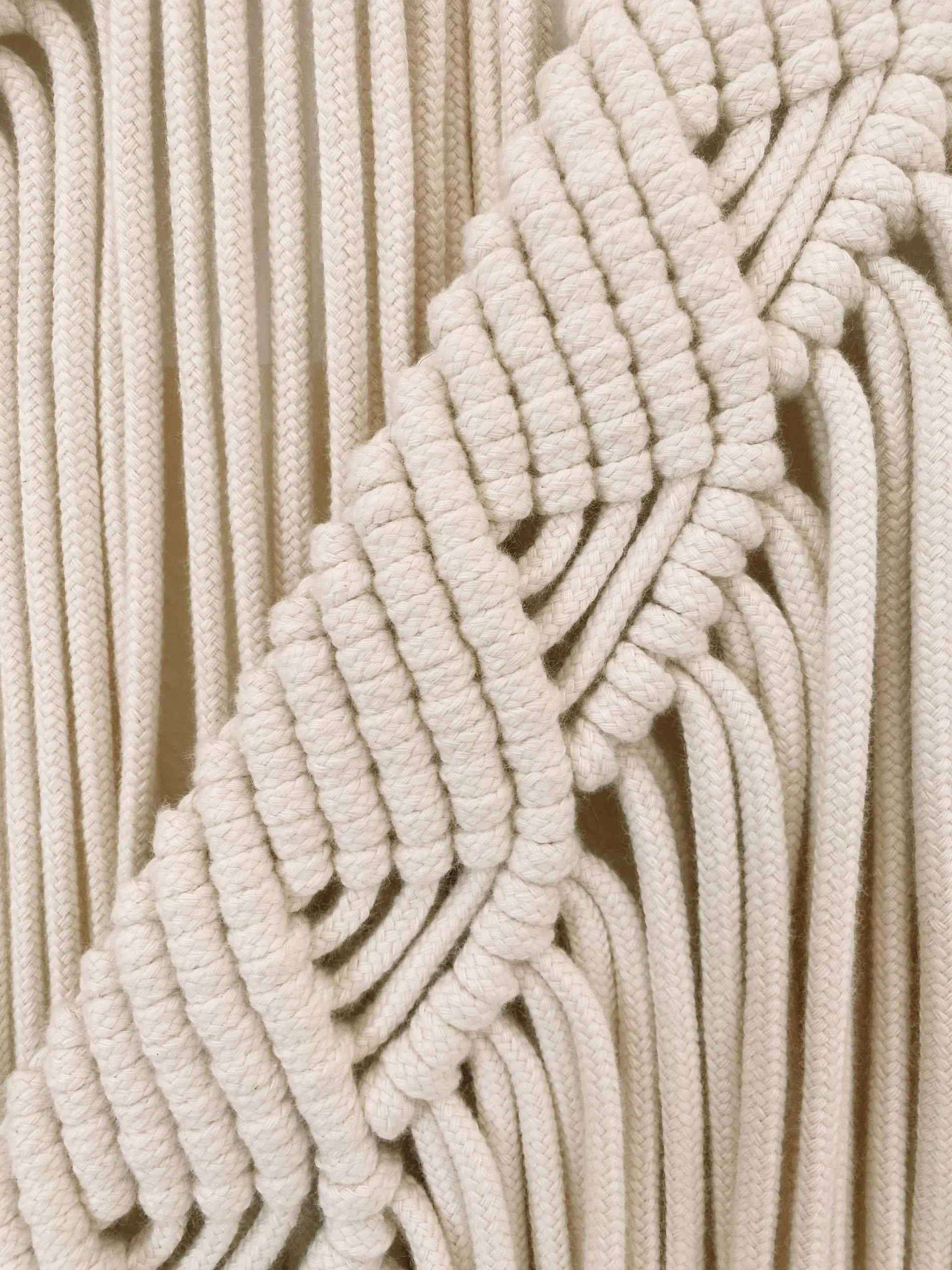 Wall Hanger Coral