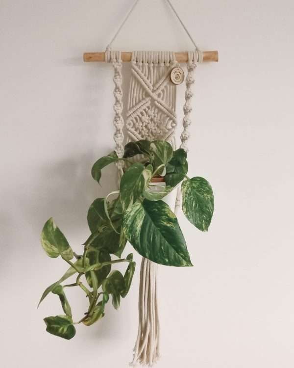 Pequeno painel de macramé Hera com potos no suporte de vaso lateral, numa parede branca