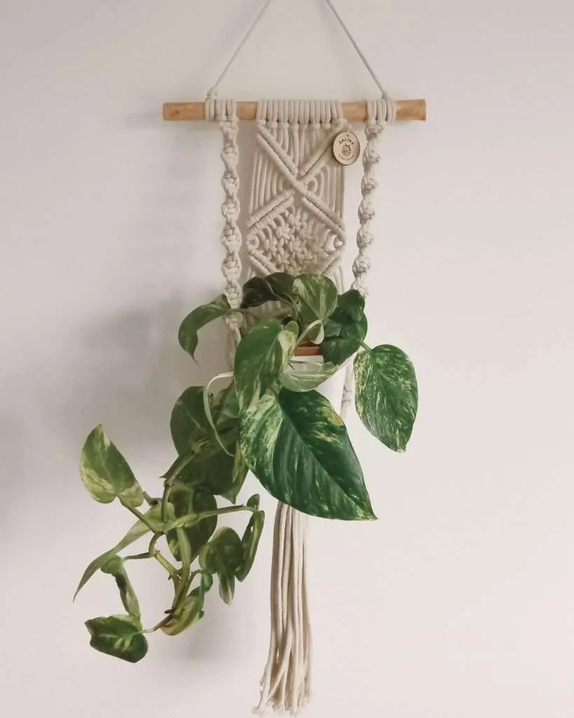 Plant Hanger Hera