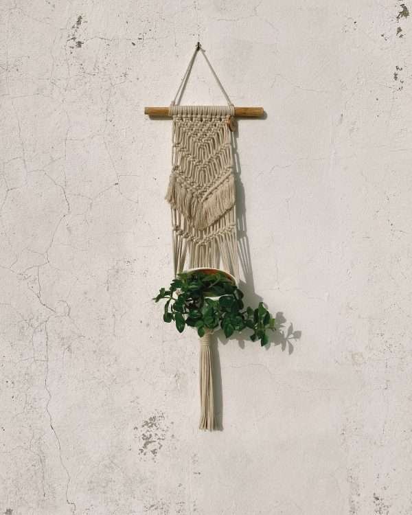 Suporte de vaso de parede em macramé Jade: painel estreito num tronco com planta por baixo