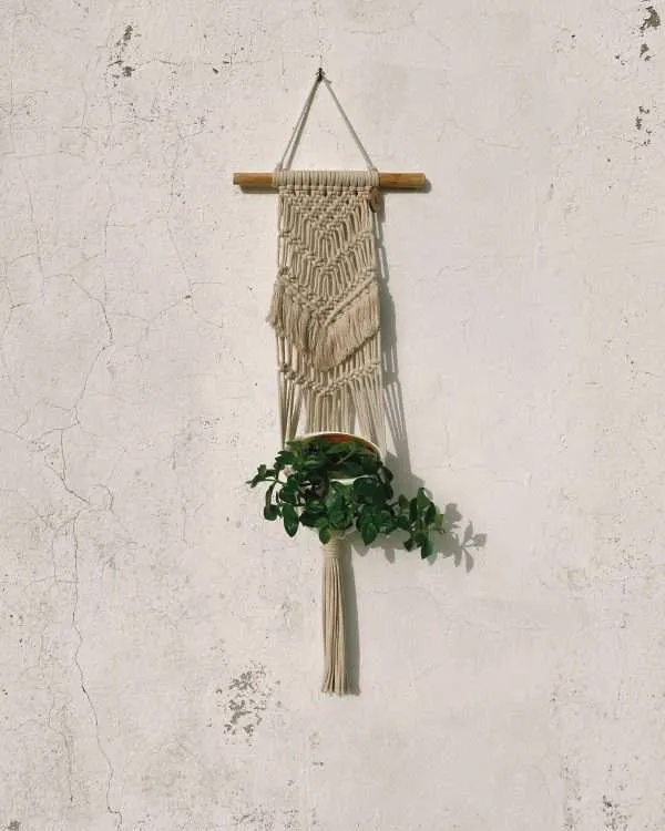 Suporte de vaso de parede em macramé Jade: painel estreito num tronco com planta por baixo