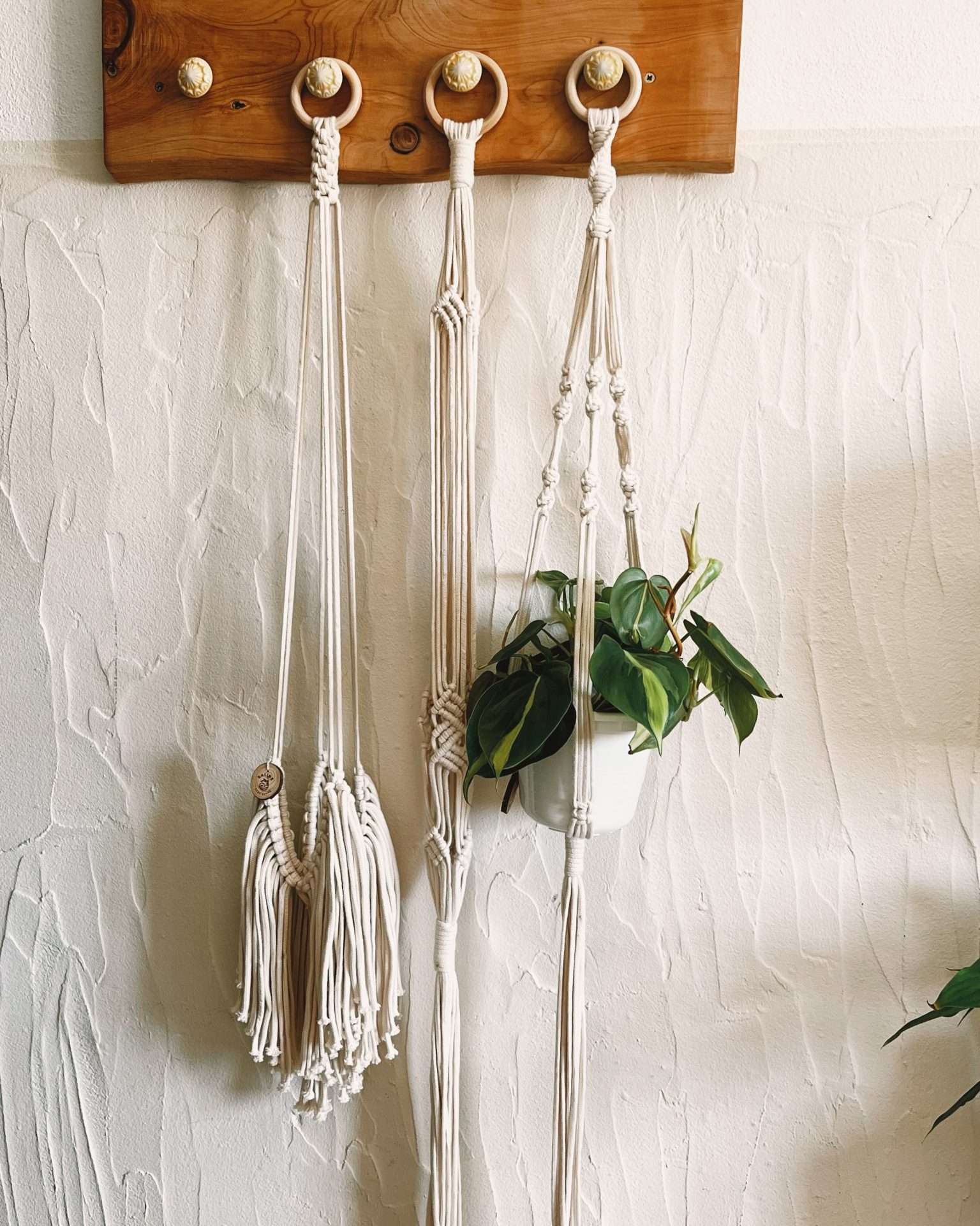 Plant Hanger Herbal