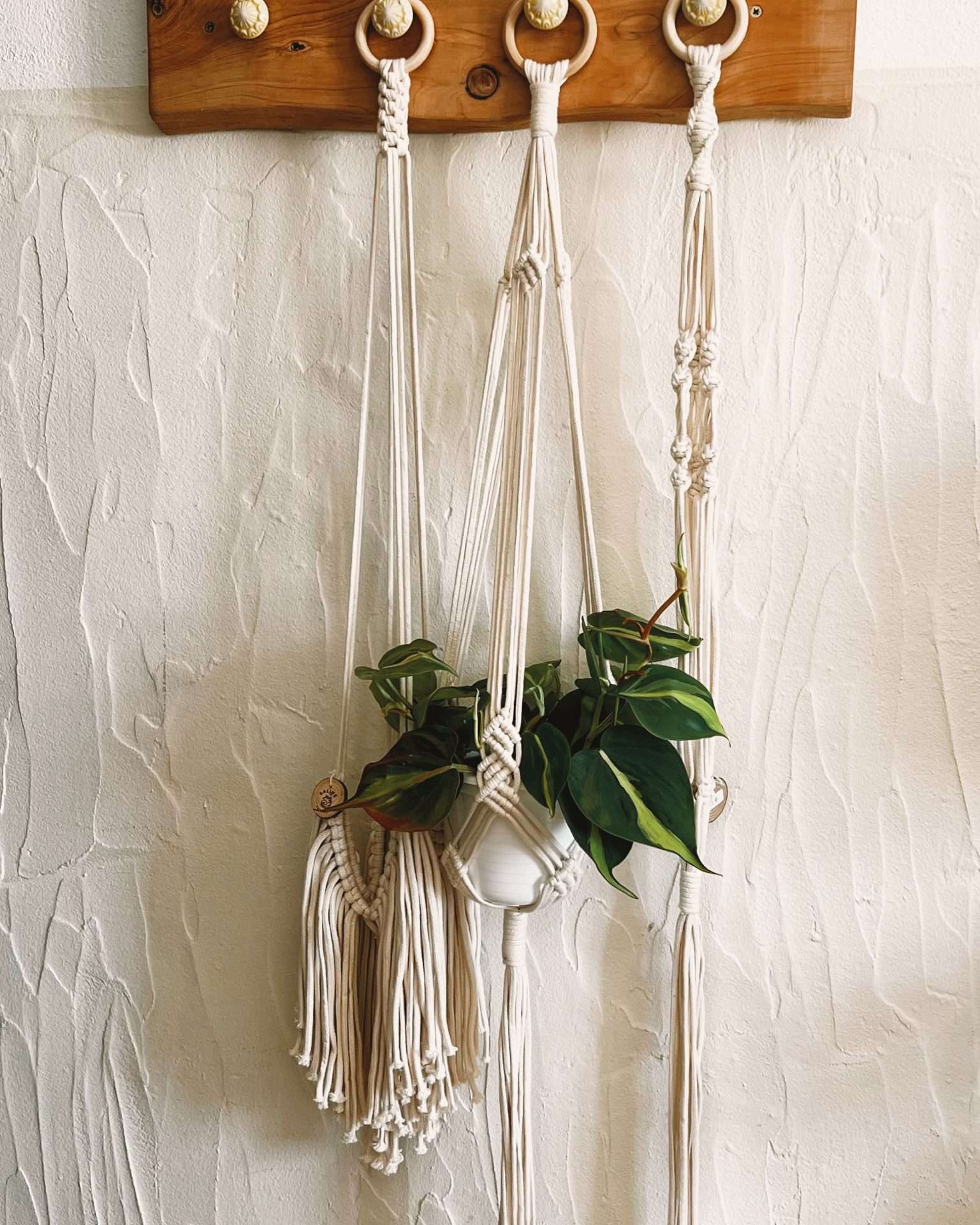 Plant Hanger Jasmin