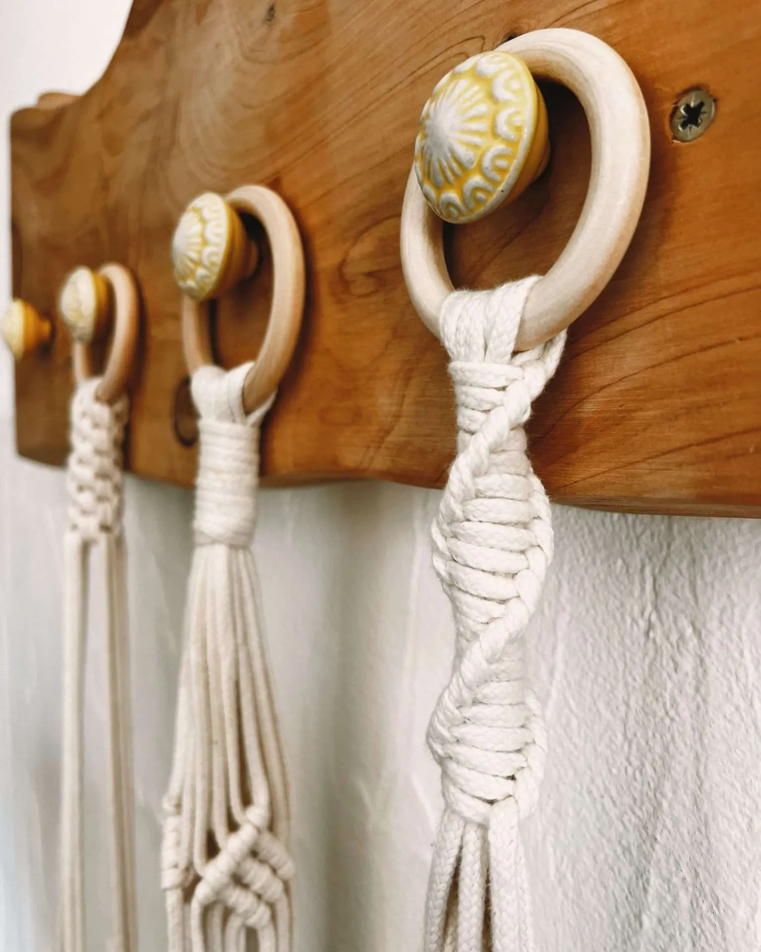 Plant Hanger Herbal
