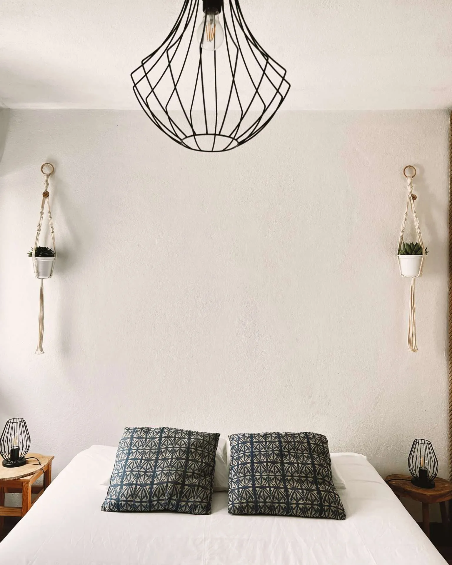 Plant Hanger Herbal
