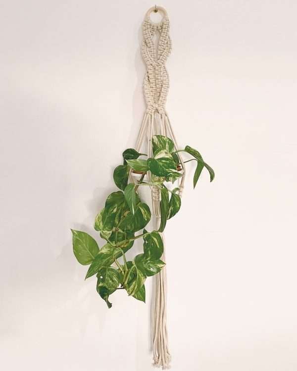 Suporte de vaso em macramé Iris com potos, de linhas simples, numa parede branca