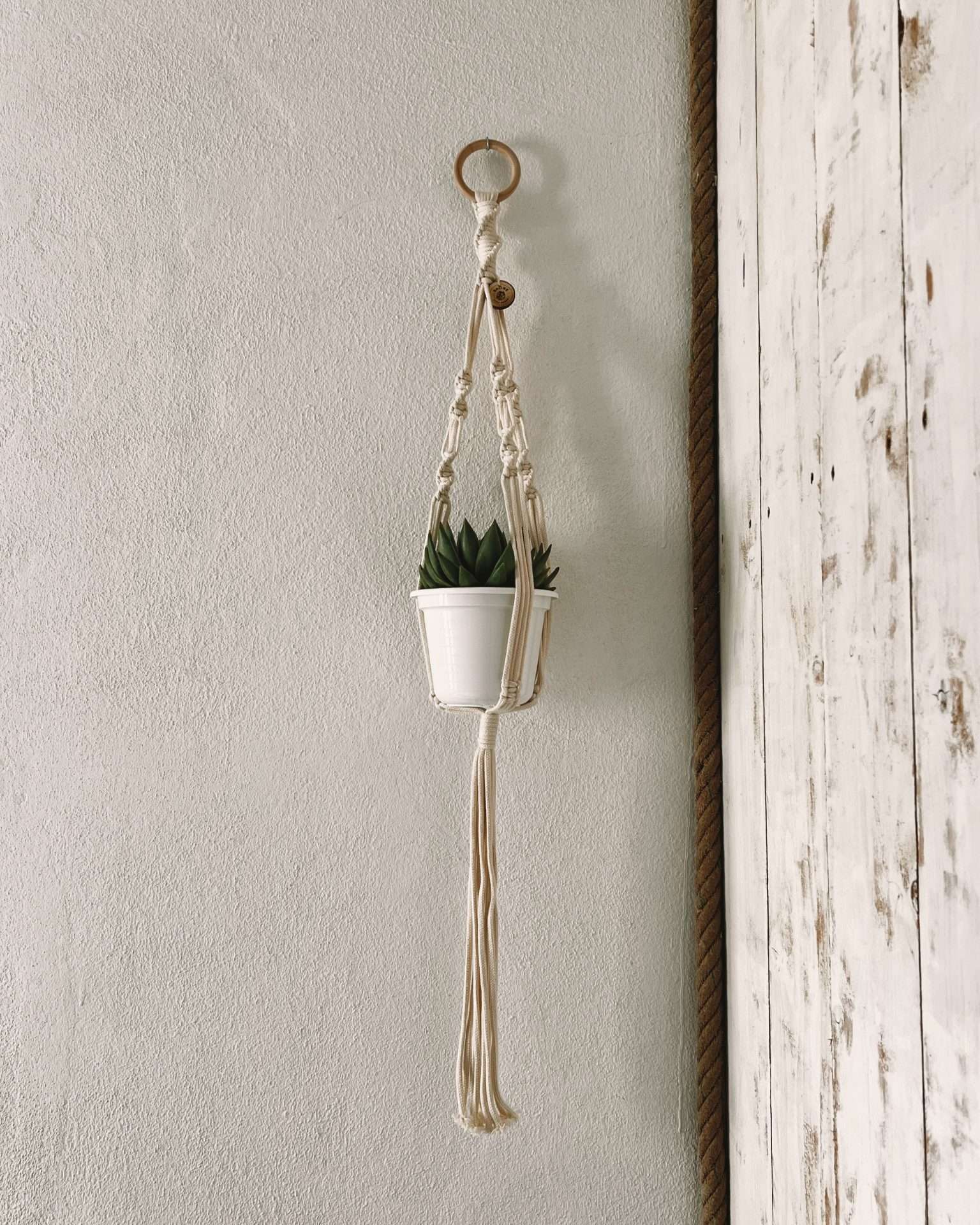 Plant Hanger Herbal
