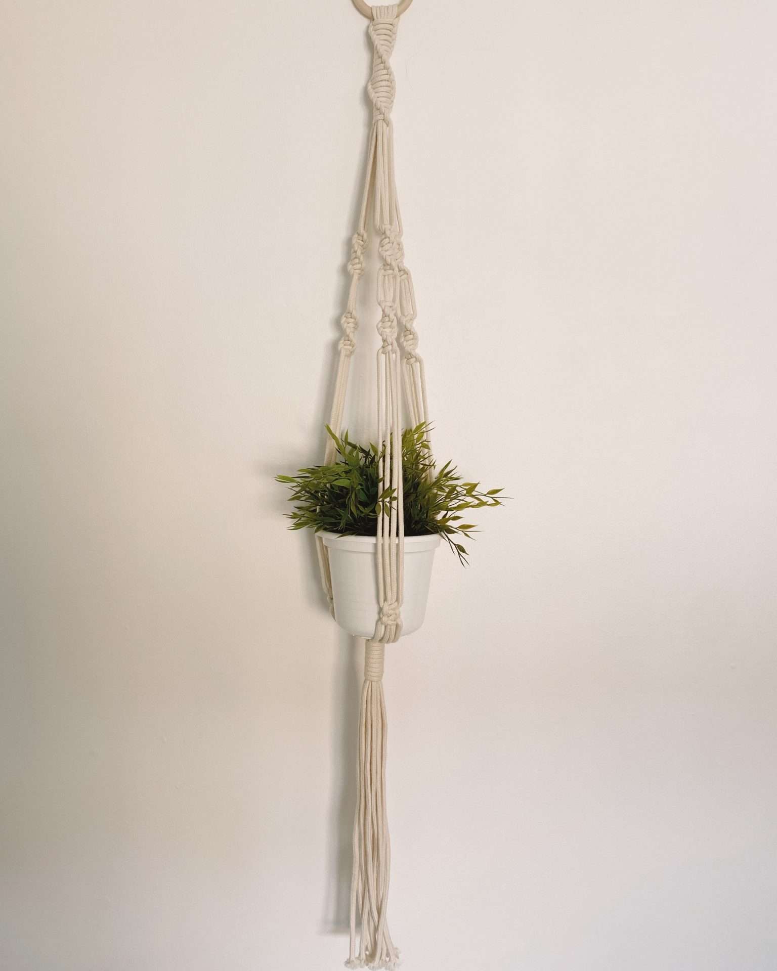 Plant Hanger Herbal