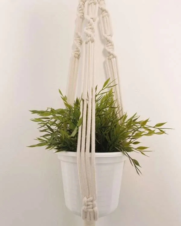 Pormenor do vaso branco com planta seguro pelos cordões do suporte Herbal